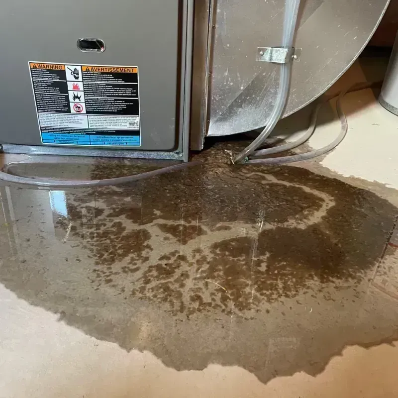 Appliance Leak Cleanup in Spanish Lake, MO